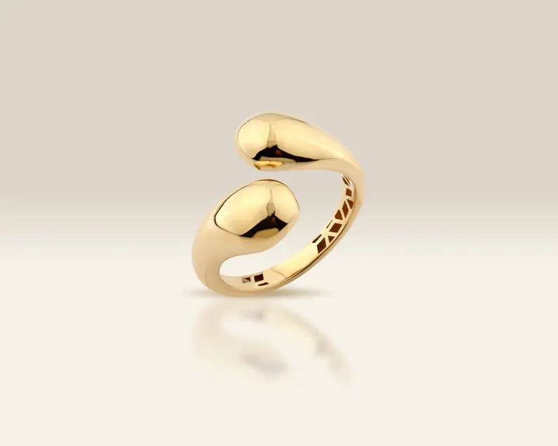 Dual Double Drop Ring
